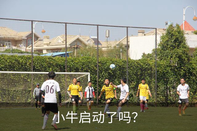 小牛启动了吗？
